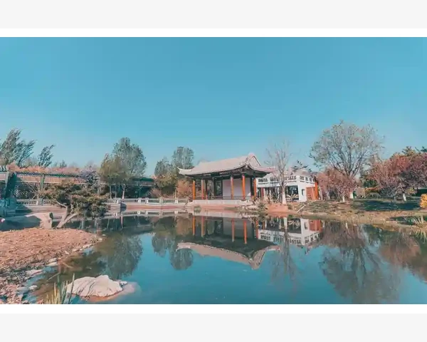 中医调理方剂：滋阴祛湿，舒缓身心，重拾健康活力